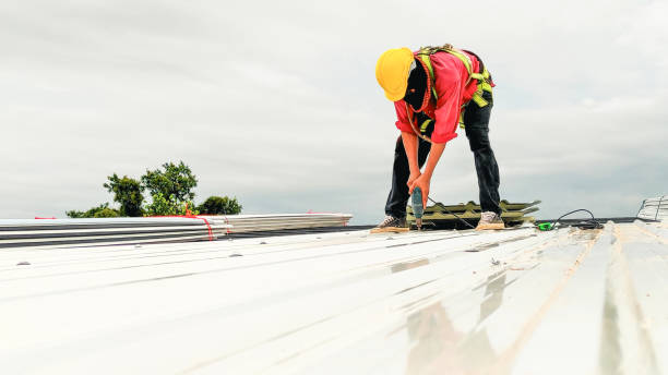Best Roof Coating and Sealing  in New Hempstead, NY